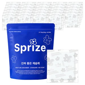 서프라이즈 진짜 좋은 제습제 일반형 30p, 900g, 1개