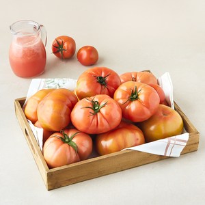 광식이 농장 주스용 못난이 완숙 토마토