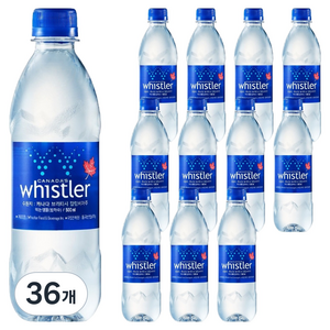 휘슬러워터 캐나다 프리미엄 빙하수 휘슬러 생수, 500ml, 36개