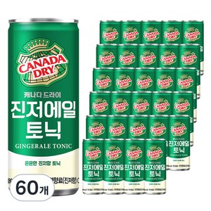 캐나다드라이 진저에일 토닉, 250ml, 60개