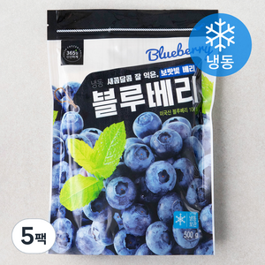 미국산 냉동 블루베리, 500g, 5개