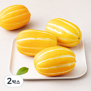 성주 참외, 2박스, 2kg(대과, 4~5입)