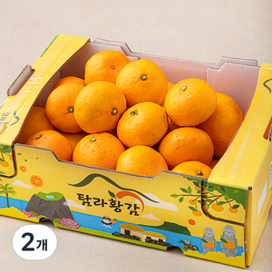 탐라황감 당도선별 10brix 하우스감귤, 2kg(로열과), 2개