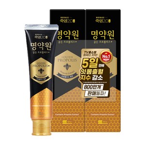 죽염 명약원 골든프로폴리스 잇몸 치약 플러스, 120g, 2개