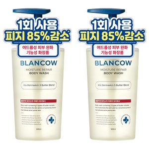 블랑카우 BHA 여드름 기능성 바디워시, 500ml, 2개