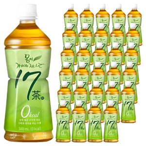 17차 몸이 가벼워지는 시간 차음료, 340ml, 40개