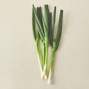국내산 친환경 중파, 300g, 1개