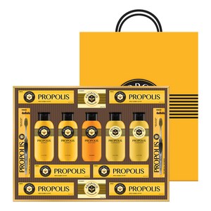 LG생활건강 선물세트 프로폴리스 A호 + 쇼핑백, 1세트