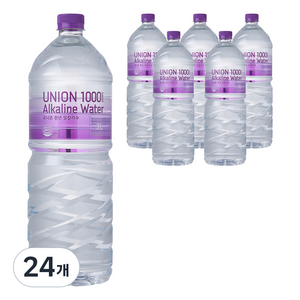 유니온천년알카리수, 2L, 24개