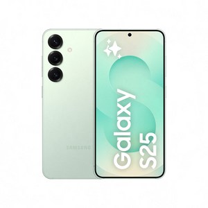 삼성전자 갤럭시 S25 휴대폰 SM-S931N