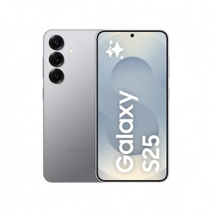 삼성전자 갤럭시 S25 휴대폰 SM-S931N