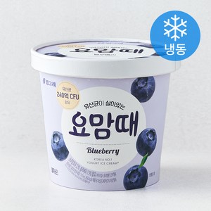 요맘때 블루베리 (냉동)