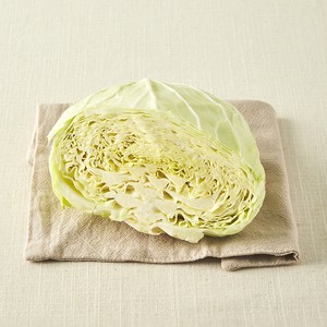 친환경 조각 양배추