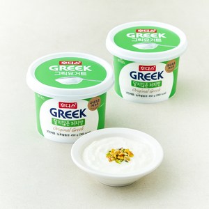 일동후디스 그릭 요거트 달지않은 저지방, 450g, 2개