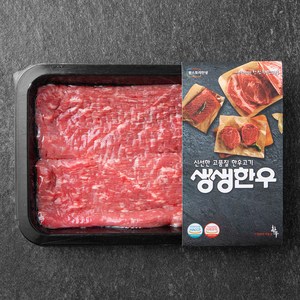 생생한우 1등급 산적용 (냉장), 300g, 1개