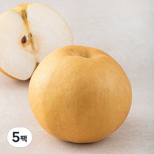 원농산 당도선별 배, 550g, 5팩