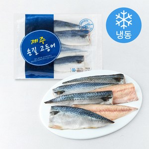 손질 제주 고등어 (냉동)