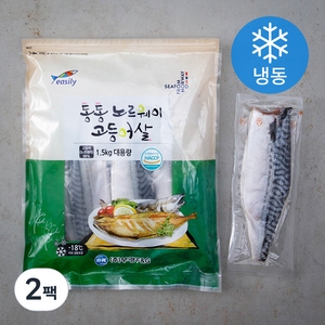 통통 노르웨이 고등어살 (냉동), 1.5kg, 2팩