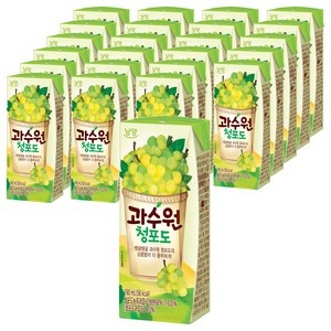 남양과수원 청포도, 190ml, 24개