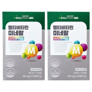 이너랩 멀티비타민 미네랄 이지퍼펙트, 60정, 2개