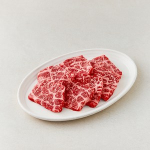 한우 1++등급 설도 구이 (냉장)