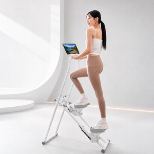 브리핏 가정용 천국의계단 운동기구