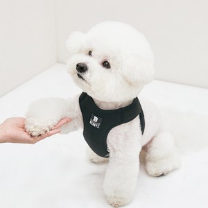 베니즈 베이직 하네스, 블랙, S, 1개