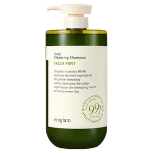 에코글램 스칼프 클렌징 샴푸 프레쉬 민트, 1L, 1개