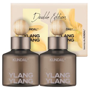 쿤달 퍼퓸 차량용 방향제 75ml 본품 2개 + 우드볼 스틱 2개 세트, 일랑일랑향, 1세트