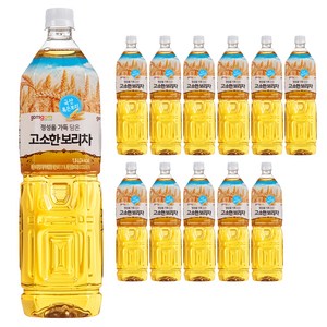 곰곰 고소한 보리차, 1.5L, 12개