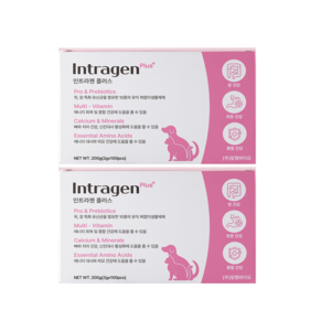 인트라젠 반려동물 플러스 영양제, 200g, 장건강/유산균, 2개