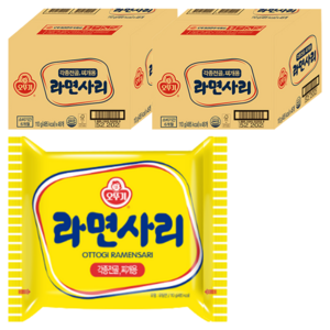 오뚜기 라면사리 110g, 96개