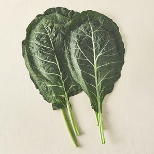 유기농 녹즙용 케일, 500g, 1개