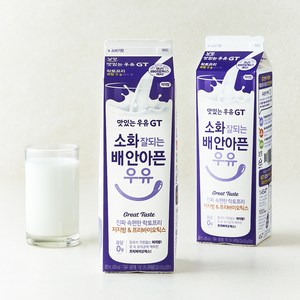 남양유업 맛있는우유GT 소화 잘되는 배 안아픈 저지방 & 프리바이오틱스 우유, 900ml, 2개