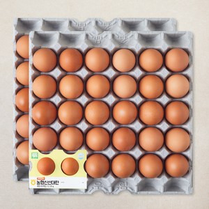 농협 무항생제 인증 신선 대란 3120g, 60구, 1개