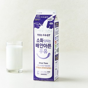 남양유업 맛있는우유GT 소화 잘되는 배 안아픈 저지방 & 프리바이오틱스 우유, 900ml, 1개