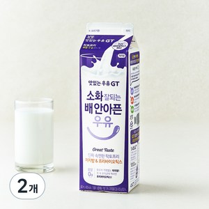 남양유업 맛있는우유GT 소화 잘되는 배 안아픈 저지방 & 프리바이오틱스 우유, 900ml, 2개