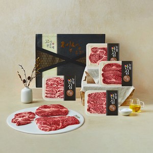농협안심한우 1+등급 구이세트 900g (등심250g + 채끝 250g + 부채살 200g + 업진살200g) (냉장)
