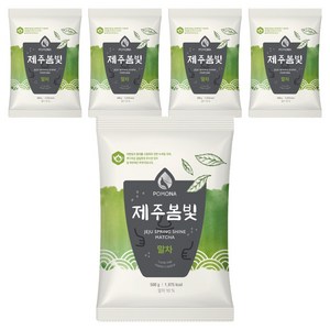 포모나 제주봄빛 말차 파우더
