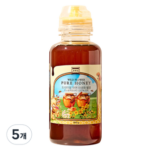 정원담 프리미엄 자연 야생화 순수 벌꿀, 500g, 5개
