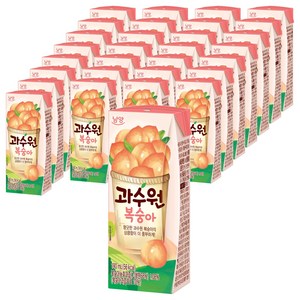 남양과수원 복숭아, 190ml, 96개