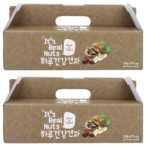잇츠리얼넛츠 베리앤요거트 믹스넛, 500g, 2박스