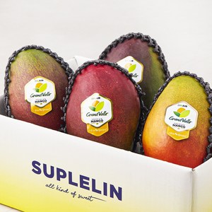 수플린 브라질산 애플망고 알뜰세트 4~5개입, 2kg, 1박스