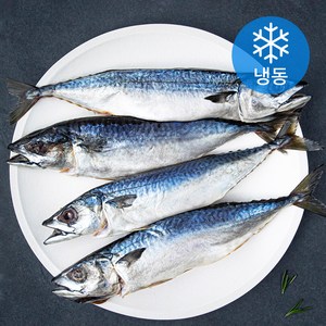 곰곰 안동식 간고등어 (냉동), 400g, 3개