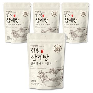 한방선생 삼계탕 재료, 100g, 4개