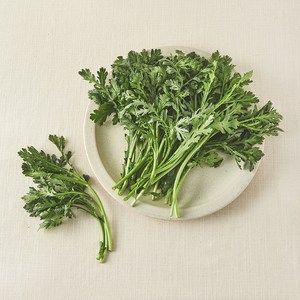 친환경 쑥갓, 150g, 1봉