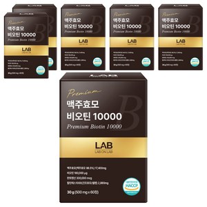 랩온랩 맥주효모 비오틴 10000, 60정, 6개