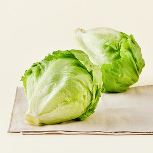 팜에이트 무농약 인증 Greenery+ 스마트팜 양상추