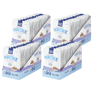 동원뉴트리플랜 고양이 모이스트루 습식 간식, 혼합맛(참치/멸치), 80g, 48개