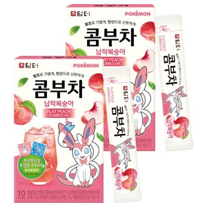 담터 포켓몬 납작복숭아 콤부차